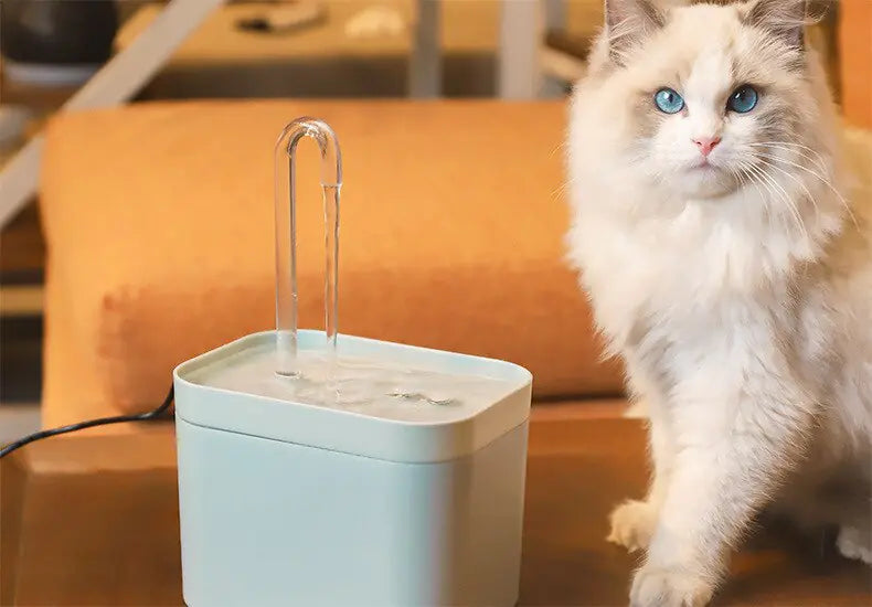 WhisperFlow Pet Fountain